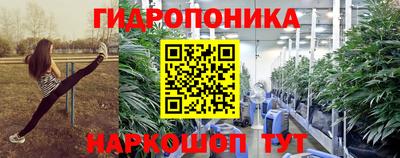 трава Новозыбков