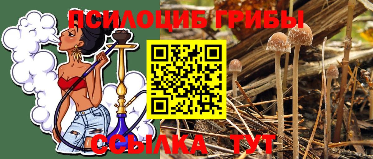 Галлюциногенные грибы GOLDEN TEACHER  Вход с VPN  Галлюциногенные грибы Psilocybine cubensis  Дятьково 